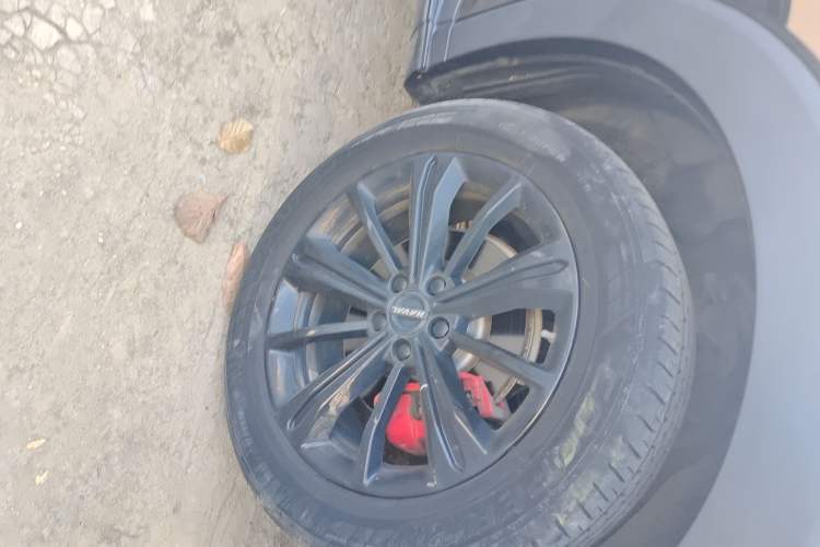 Used Haval H6S 2022 2.0T Two-Wheel Drive JoyRun Version
