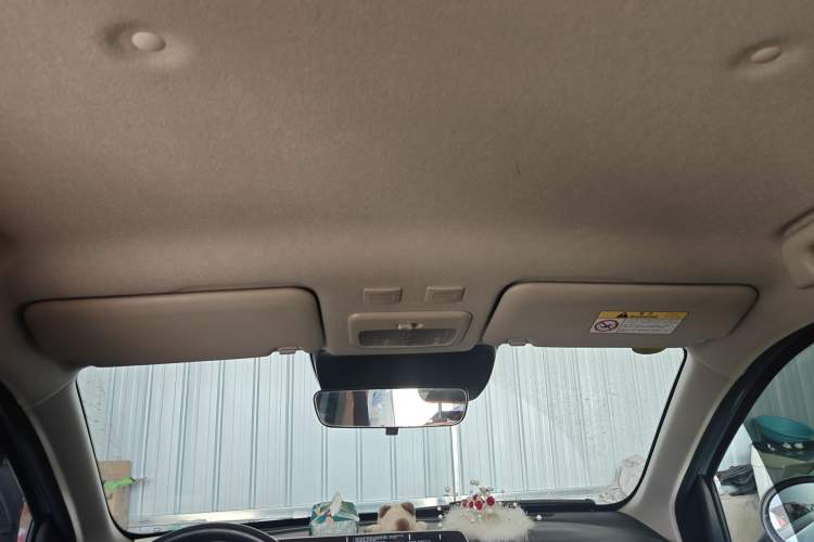 Used ORA Black Cat 2022 351 km Range Luxury Version Lithium-Ion Battery Headliner