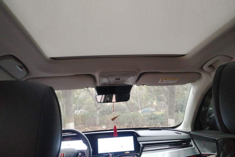 Used Hongqi HS5 2023 2.0T Qixiang Pro Edition
