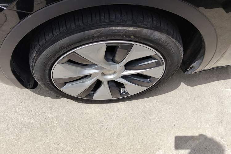 Used Tesla Model Y 2021 Standard Range Rear-Wheel Drive Version
