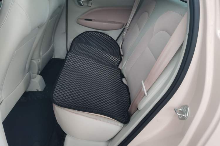 Used Leapmotor T03 2023 310 Lite Edition Left Rear Seat