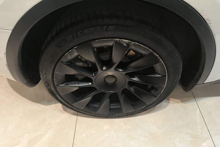 Used Tesla Model Y 2022 Long-Range All-Wheel-Drive Version Exterior 5