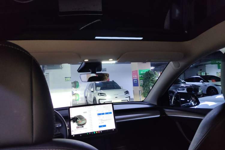 Used Tesla Model Y 2021 Long-Range All-Wheel-Drive Version Headliner