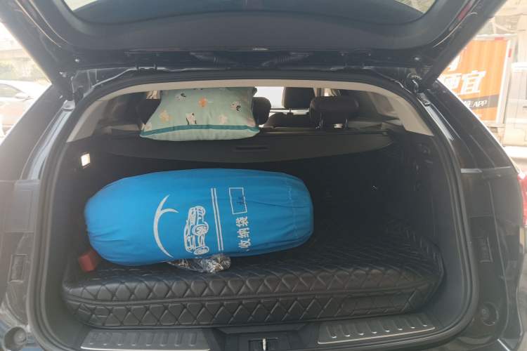 Used Wey P8 2018 2.0T Flagship Model