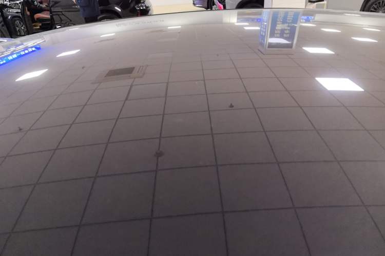 Used ONVO L60 2024 60 kWh Rear-Drive Version Roof