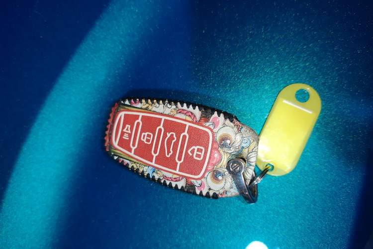 Used Haval LHERY 2021 High-Performance Version 1.5T Golden Rabbit Vehicle Key