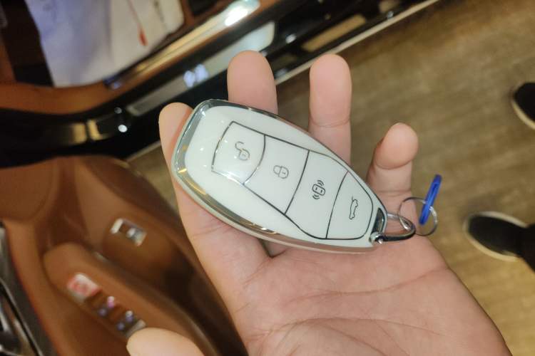 Used Hongqi H9 2023 2.0T Smart Connect Flagship Edition

