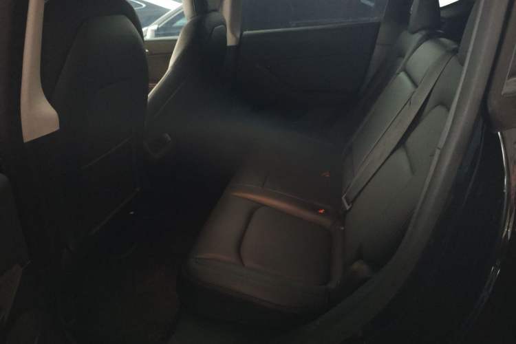 Used Tesla Model Y 2021 Standard Range Rear-Wheel Drive Version Left Rear Seat