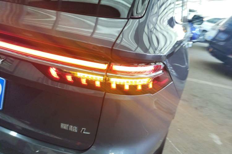 Used Geely Auto Monjaro L 2024 2.0TD High-Power Automatic Two-Wheel Drive Skyline Edition
