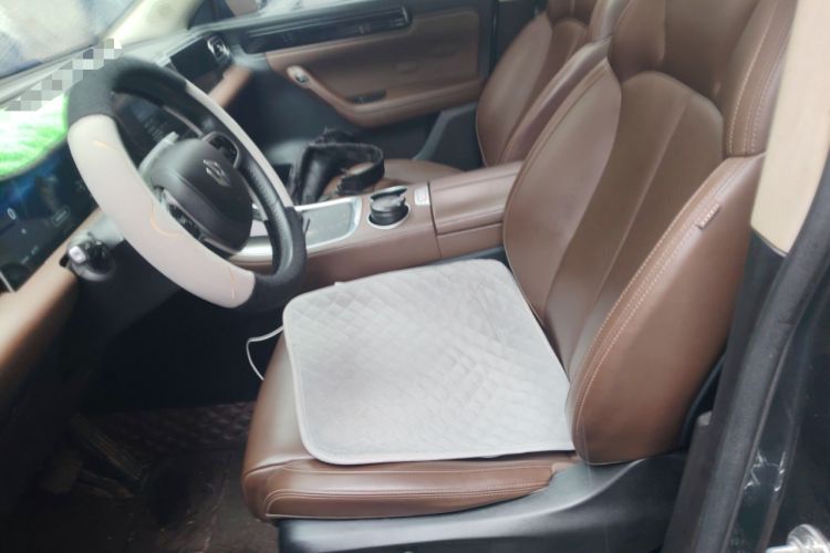 Used Leapmotor C11 2023 Pure Electric 500 Comfort Edition