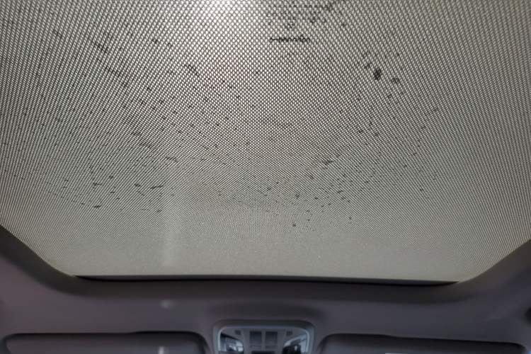 Used Haval F7 2019 2.0T Two-Wheel-Drive i-Van China VI Standard