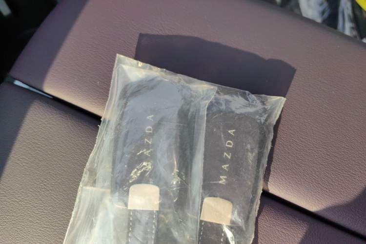 Used Mazda EZ-60 2025 Model Pure Electric 600 Max
