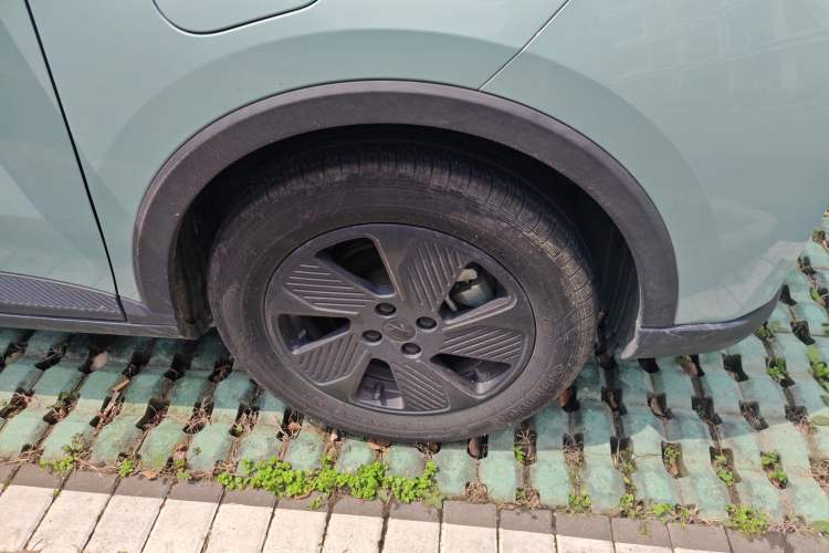 Used Geometry E Firefly 2023 401KM Lightning Tiger 5-Seater
