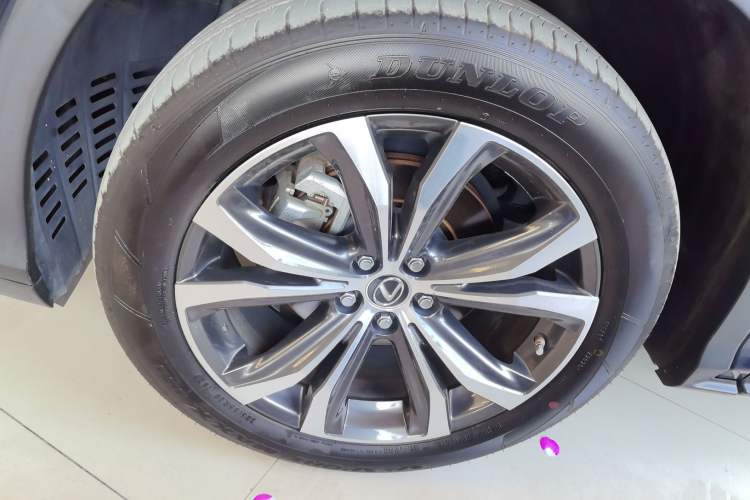 Used Lexus RX 2020 300 4x4 Elegant Edition China VI