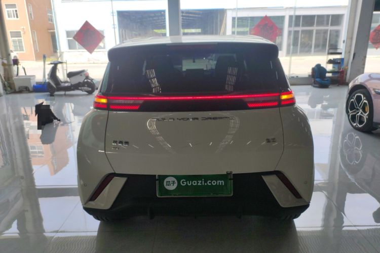 Used BYD Seagull 2023 Free Edition Rear