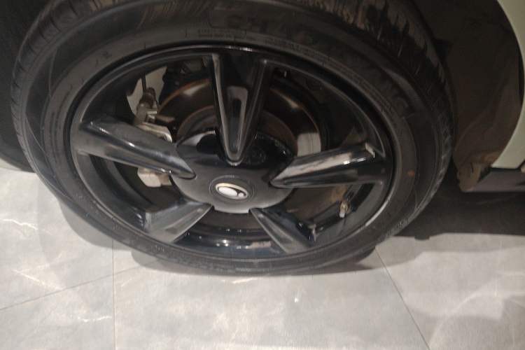 Used ORA Good Cat 2024 401 km Range Luxury Version 135 kW
