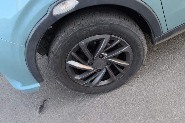 Used NETA V 2021 Standard Range Version
