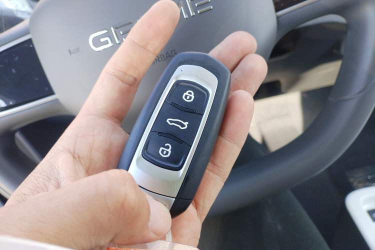 Used Geely Galaxy Panda 2025 210km Panda Kart