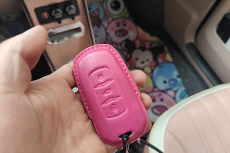 Used Geely Galaxy Panda 2023 Panda Mini 200km Endurance Bear