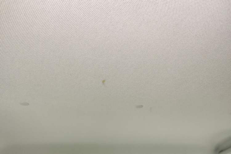 Used Wuling Hongguang MINIEV 2025 Four-Door Version Zhenxiang+ Edition Headliner