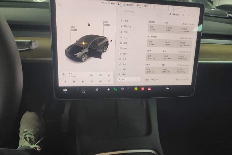 Used Tesla Model Y 2021 Standard Range Rear-Wheel Drive Version
