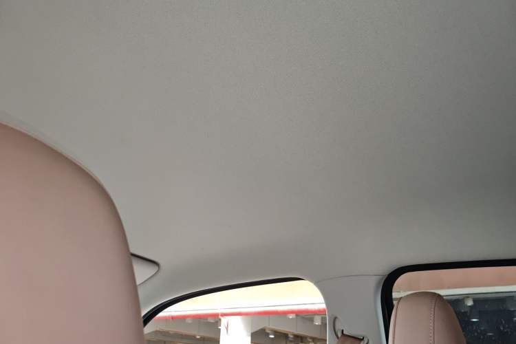 Used Leapmotor T03 2023 403 Lite Edition Headliner