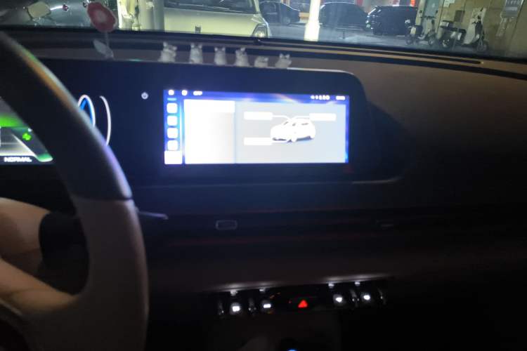 Used ORA Good Cat 2022 Morandi Edition 400km Standard Range Luxury Version Lithium Iron Phosphate
