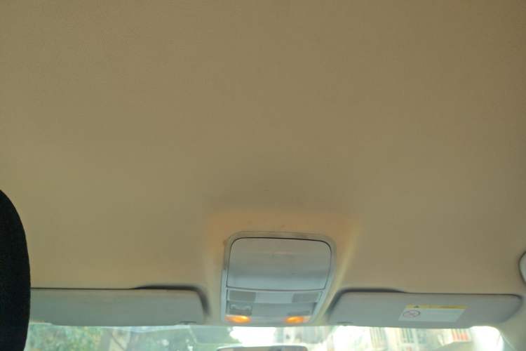 Used Skoda Octavia 2016 1.6L Automatic Chuanxing Edition Headliner