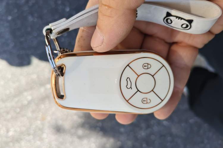 Used ORA Good Cat 2022 400km Standard Range Luxury Version Lithium Iron Phosphate Vehicle Key