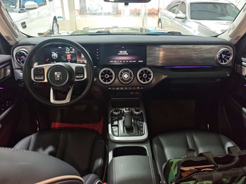 Used Tank 300 2024 2.0T Conqueror — 9