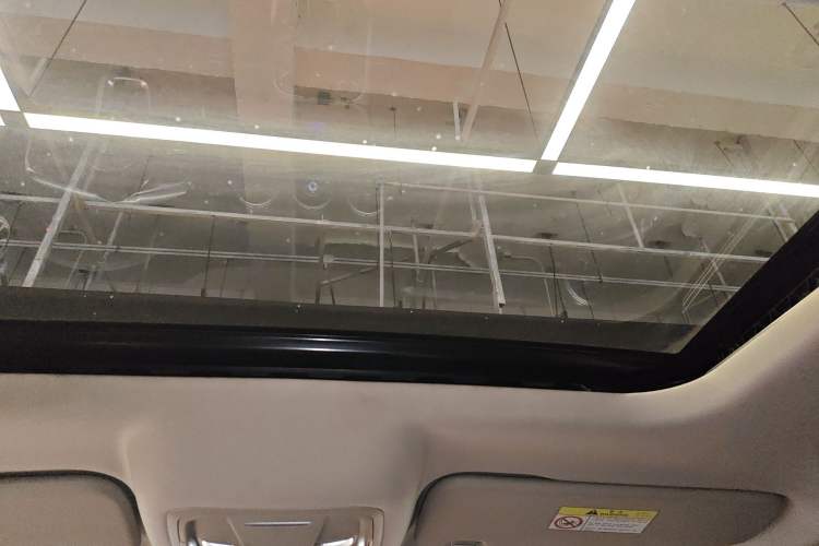 Used Tank 300 2021 Off-Road Edition 2.0T Conqueror Headliner