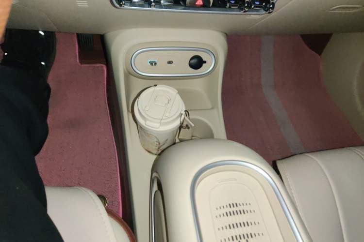 Used ORA Good Cat 2024 401 km Luxury Version Gear Lever