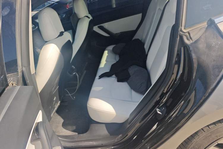 Used Tesla Model 3 2019 Standard Range Rear-Drive Upgraded Version