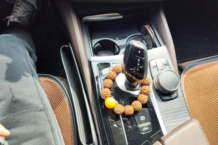 Used BMW 5 Series 2021 530Li Leading Model M Sport Package