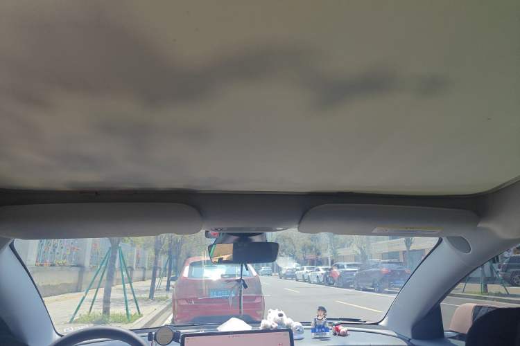 Used Tesla Model 3 2022 Rear-Wheel-Drive Version Headliner