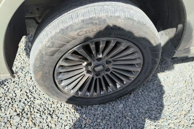 Used Tank 500 New Energy 2024 Hi4-T
