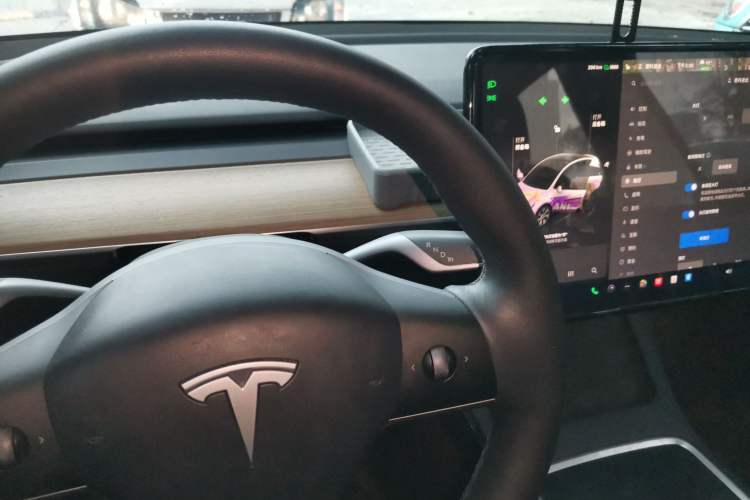 Used Tesla Model Y 2022 Revised Version Rear-Wheel Drive
