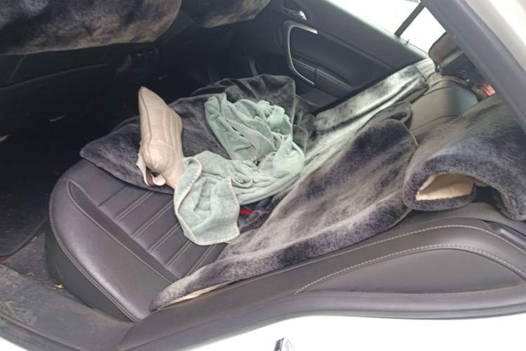 Used Buick Regal 2015 1.6T Elite Tech Model
