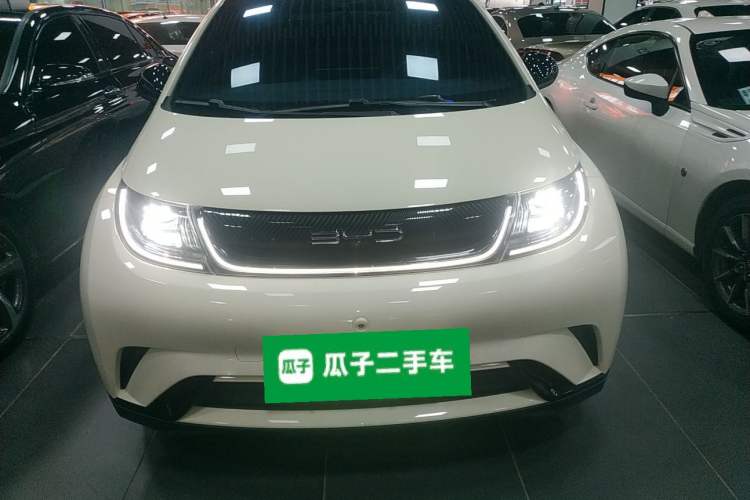 Used BYD Dolphin 2024 Honor Edition 420km Freedom Version
