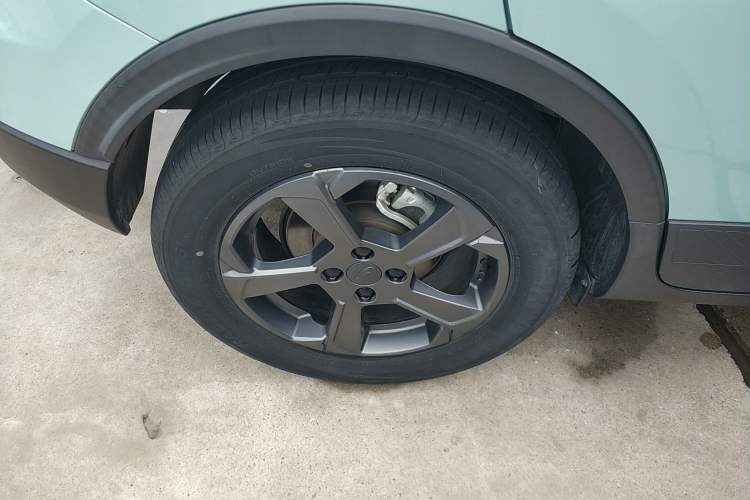 Used Geometry E Firefly 2022 320KM Cute Tiger 5-Seater