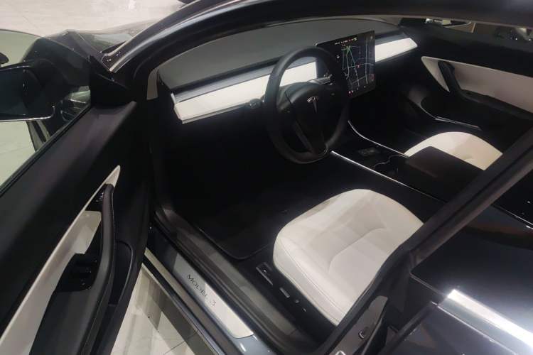 Used Tesla Model 3 2019 Long-Range All-Wheel-Drive Version
