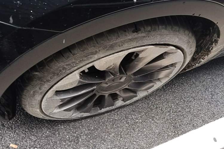 Used Tesla Model Y 2021 Performance High-Performance All-Wheel-Drive Version