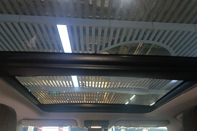 Used Lexus RX 2020 300 4x4 Elegant Edition China VI Headliner