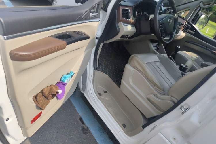 Used FORTHING Lingzhi 2017 M5 1.6L Luxury Model
