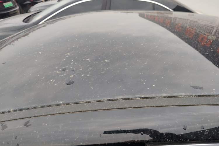 Used Hongqi E-QM5 2021 Charging Version Flagship Edition Roof