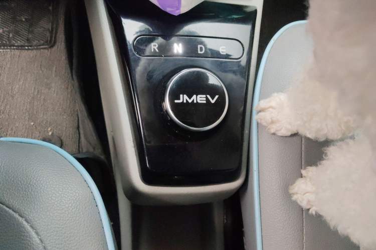 Used JMEV Xiao Qilin 2023 Joyful Edition 201km Comfort Model

