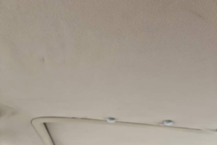 Used Buick GL8 2011 2.4L LT Executive Edition Headliner