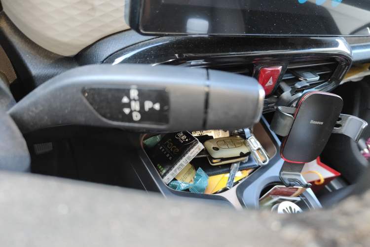 Used SOL E10X 2022 Flower Fairy Style Baby's Breath
