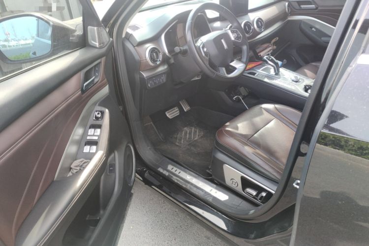 Used Wey VV6 2019 2.0T Two-Wheel-Drive Flagship Version China VI Standard
