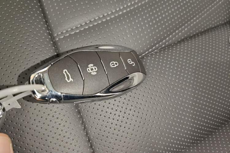 Used Hongqi HS7 PHEV 2024 2.0T PHEV Two-Wheel Drive Flagship Edition 6 Seats